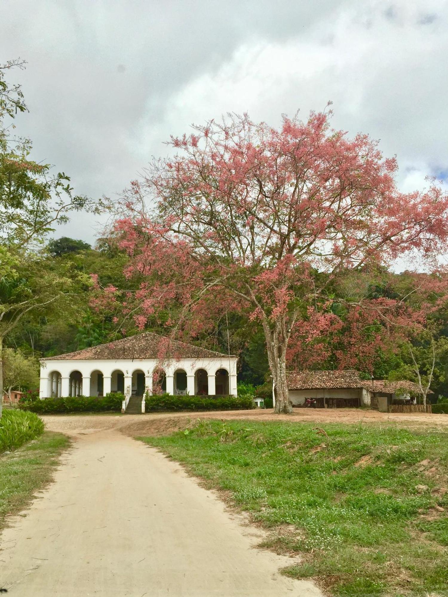 Chale Suico - Chales Belo Monte - Sitio Belo Monte Pacoti Luaran gambar