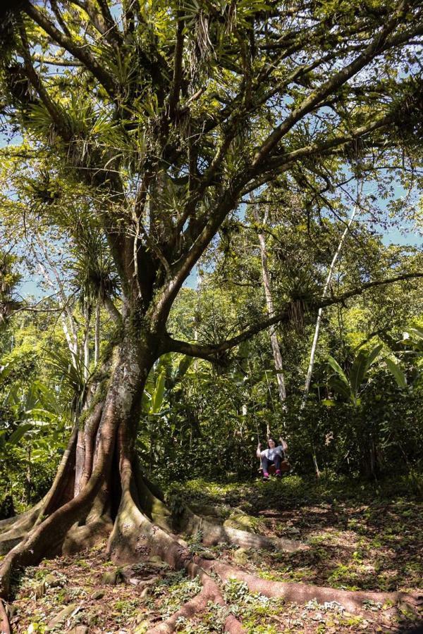 Chale Suico - Chales Belo Monte - Sitio Belo Monte Pacoti Luaran gambar